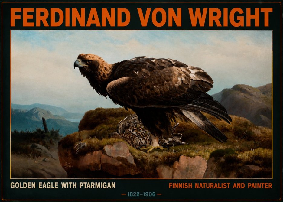 Ferdinand von Wright Golden Eagle with Ptarmigan No2 - Plakat
