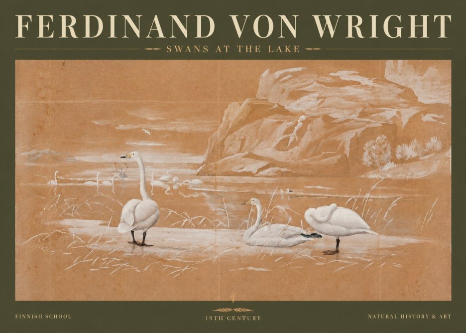 Ferdinand von Wright Swans at the Lake No3 - Plakat