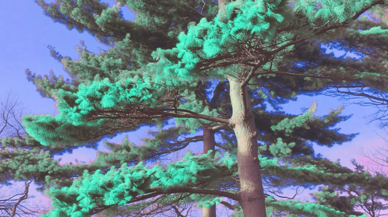 Uploaded
wallpaper