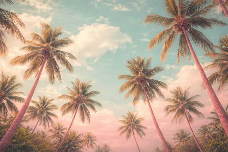Uploaded
wallpaper