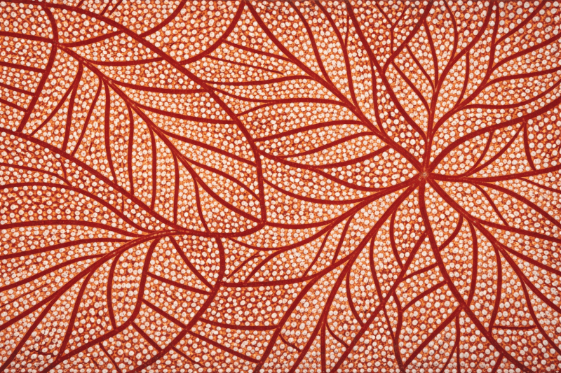 Uploaded
wallpaper