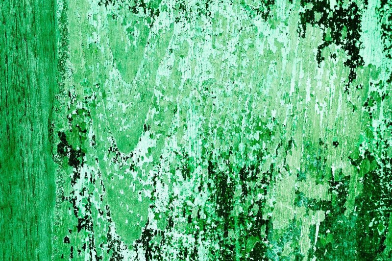 Uploaded
wallpaper