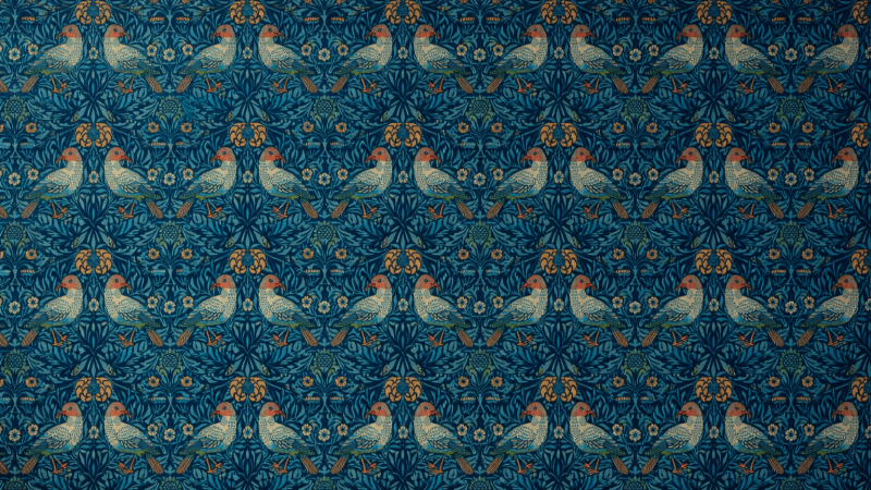 Uploaded
wallpaper