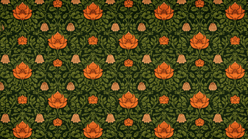 Uploaded
wallpaper