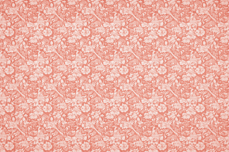 Uploaded
wallpaper