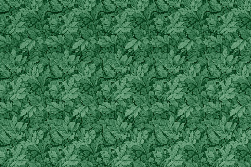 Uploaded
wallpaper