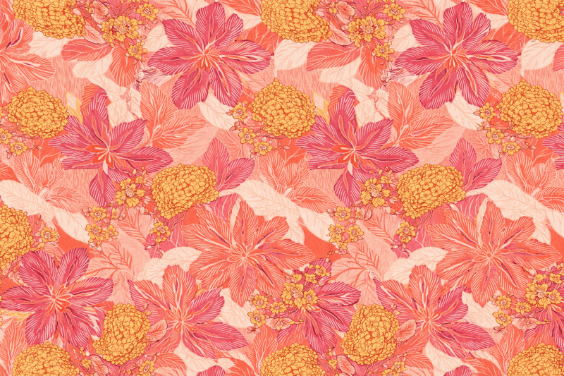 Uploaded
wallpaper