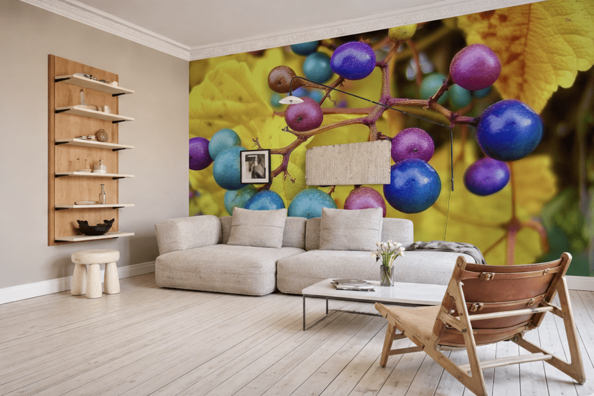 Vibrant Harvest Cluster