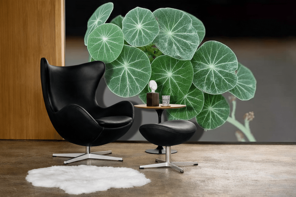 Vein Patterned Leaves