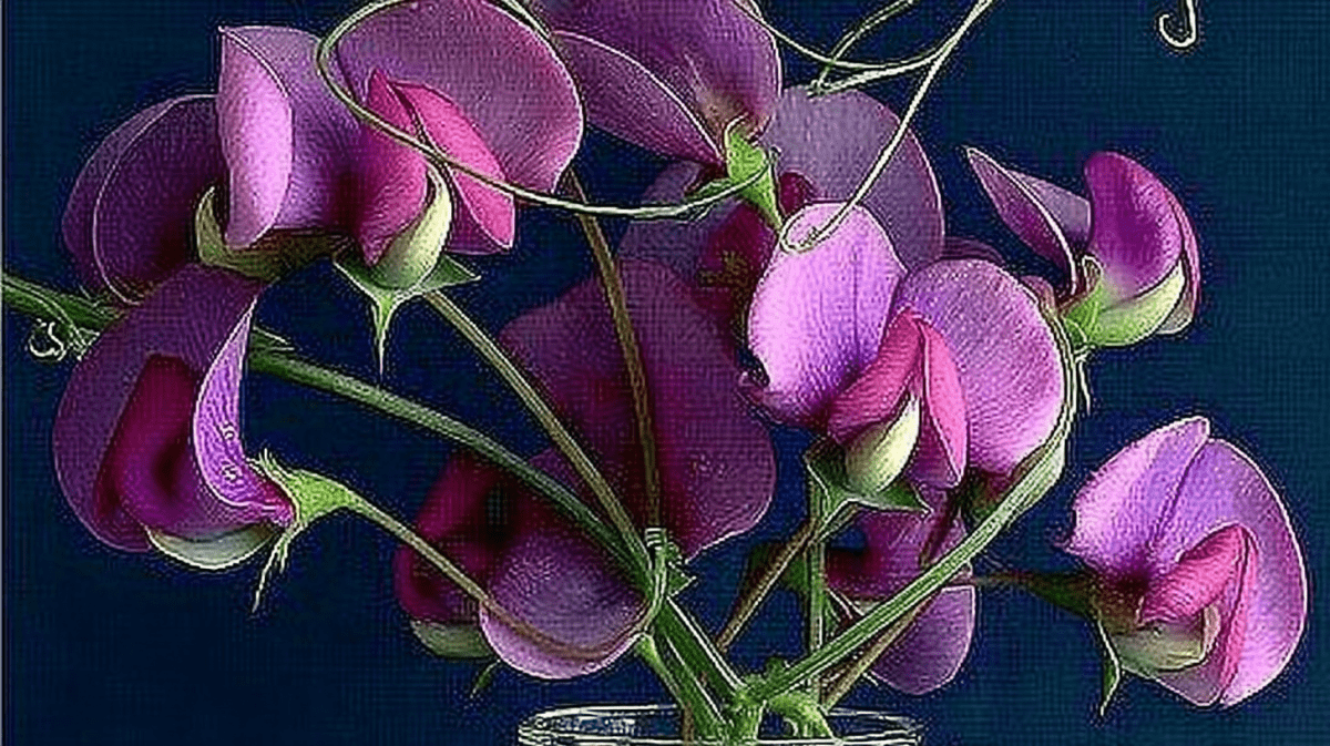 Whispering Petals