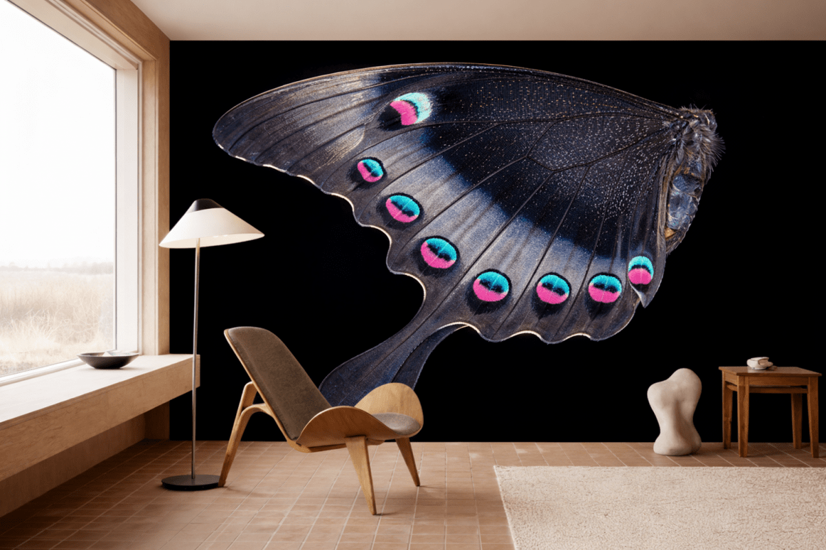 Wisping Feather