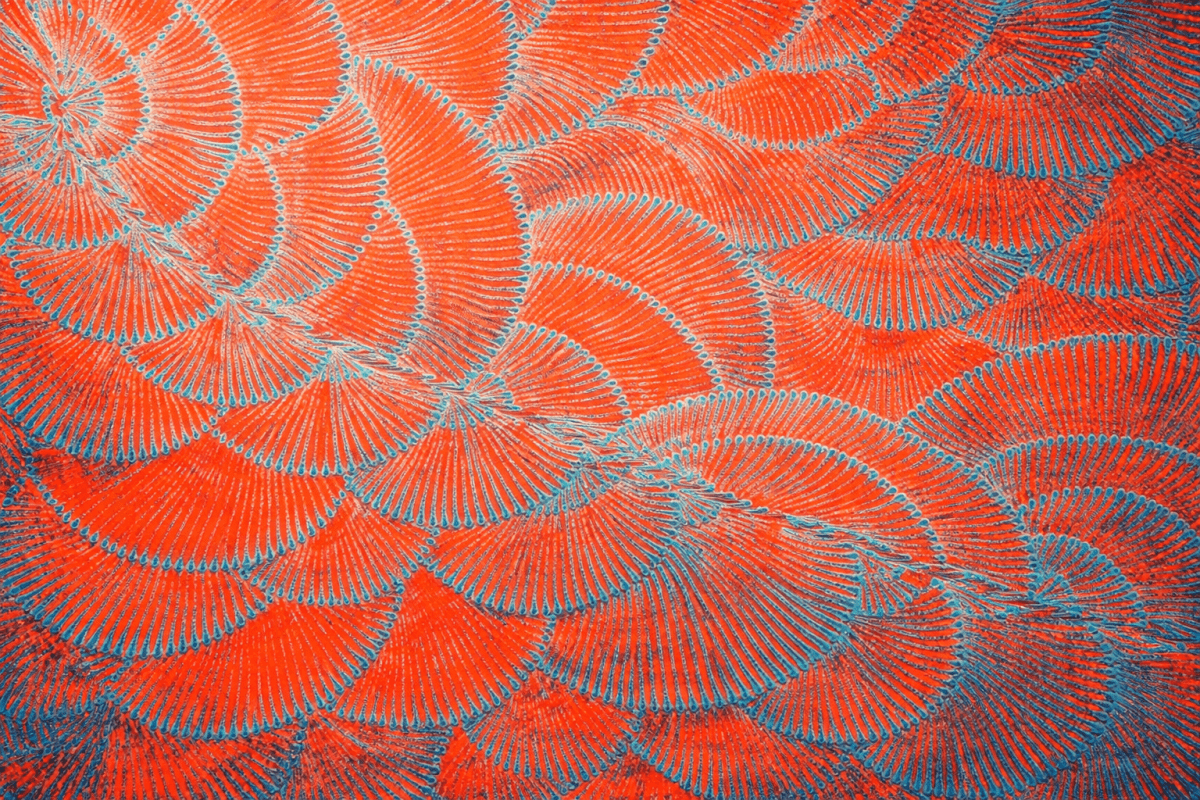 Cerulean Fan Dance