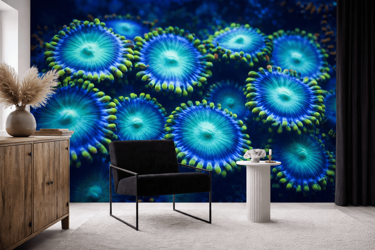 Coral Kaleidoscope