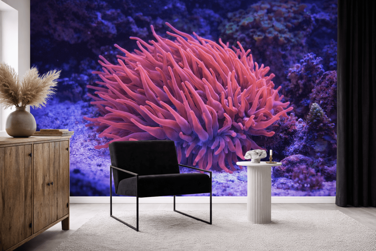 Opal Touch Anemone