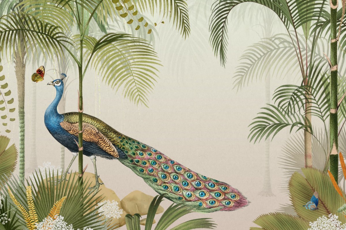 Peacock Reverie