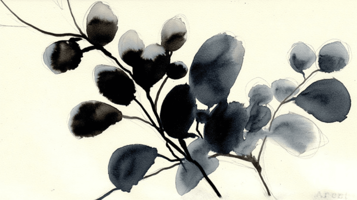 Liminal Sketches