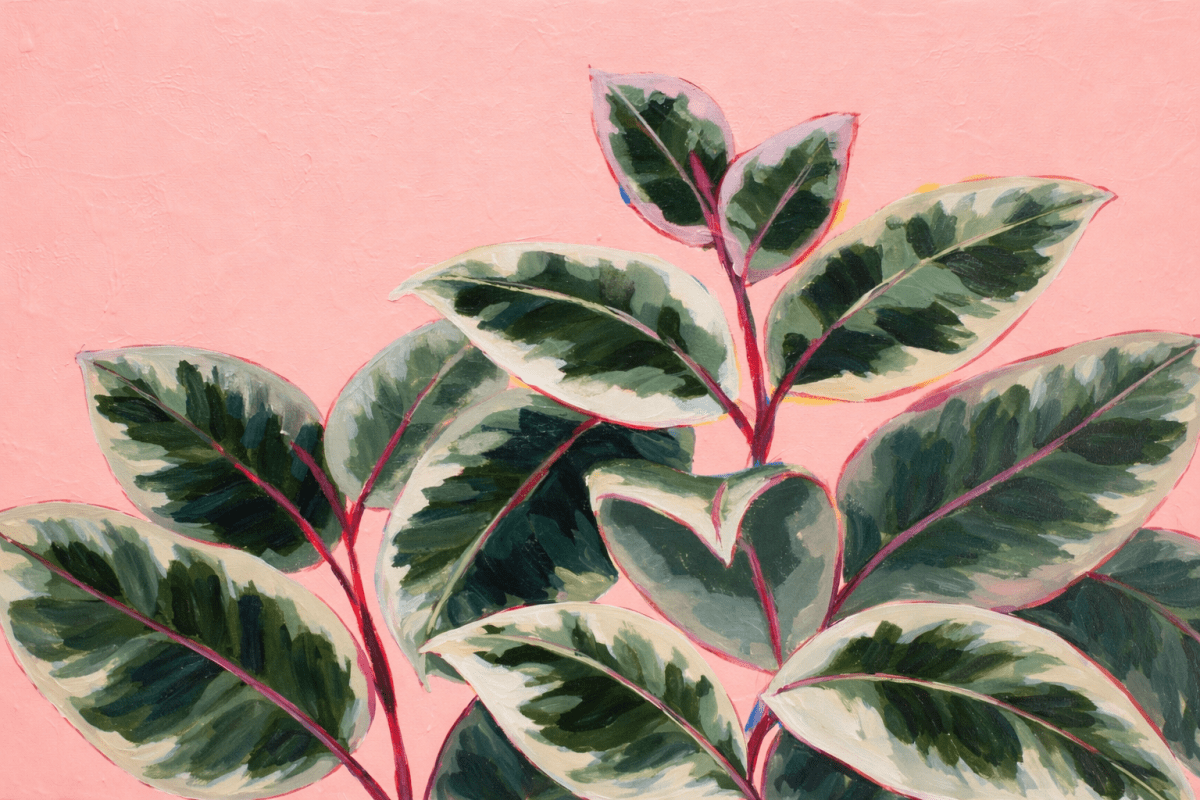 Tropical Canopy Iii