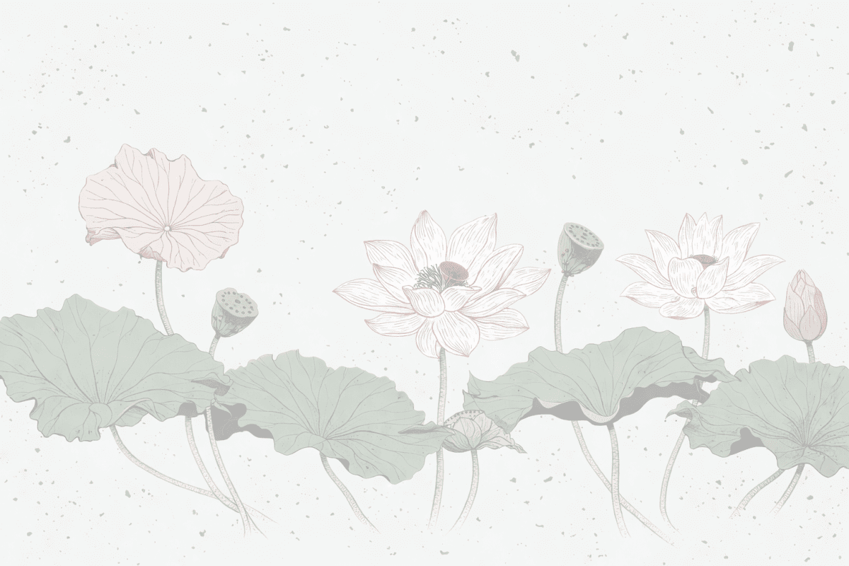 Lotus Nocturne