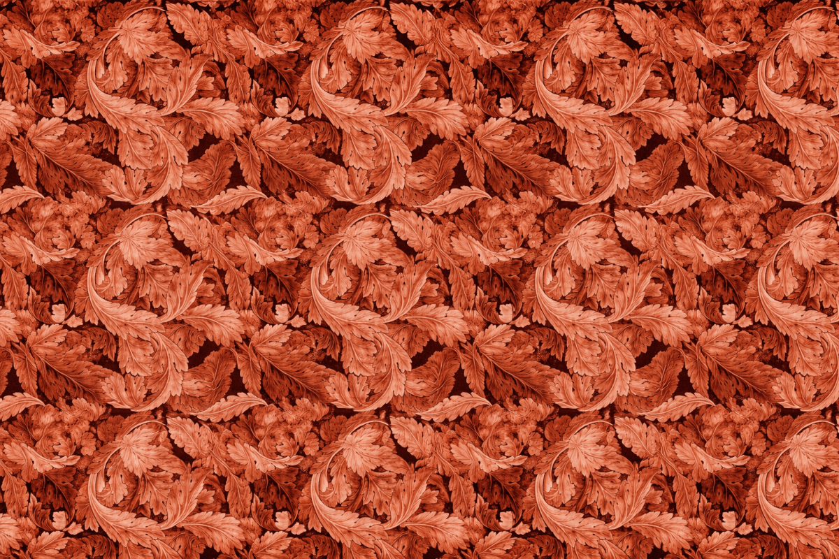 Ember Fronds