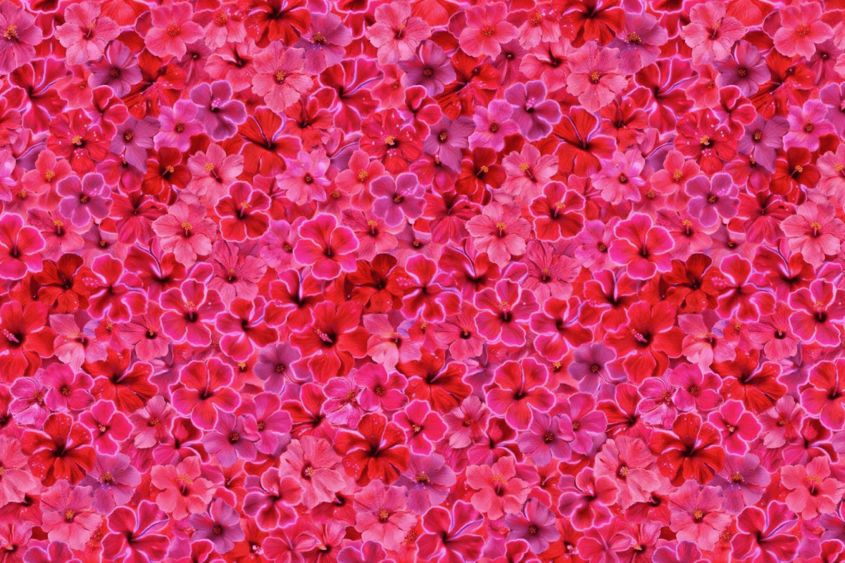 Saffron Petal Tapestry