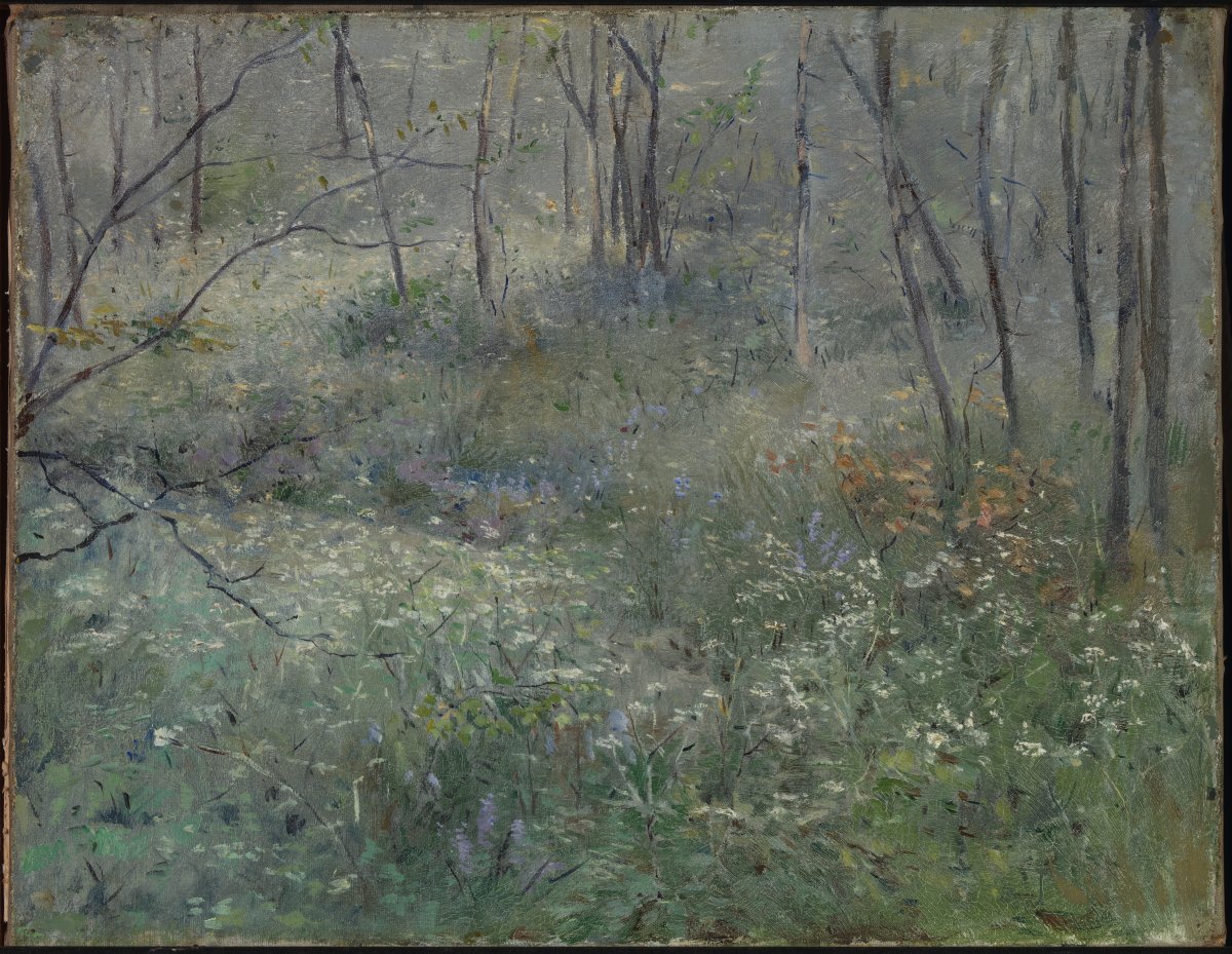 Whispering Glade