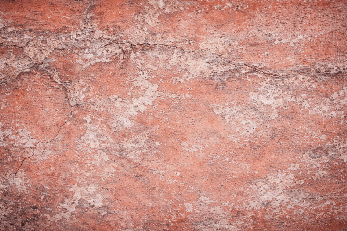 Rustic Terracotta Canvas