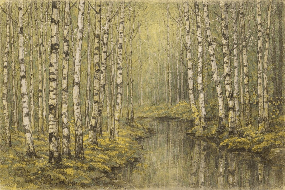Silken Birch Haven
