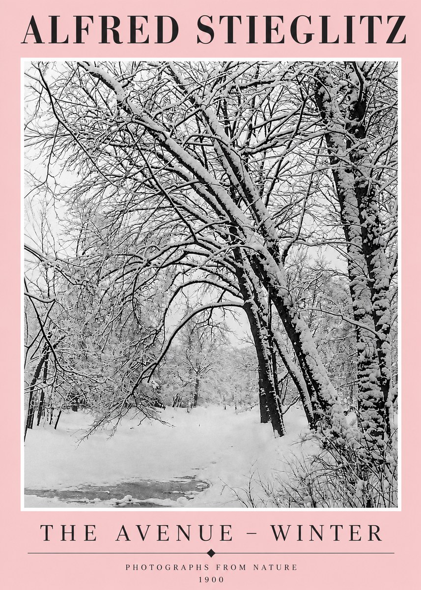 Alfred Stieglitz The Avenue – Winter No4 - Plakat