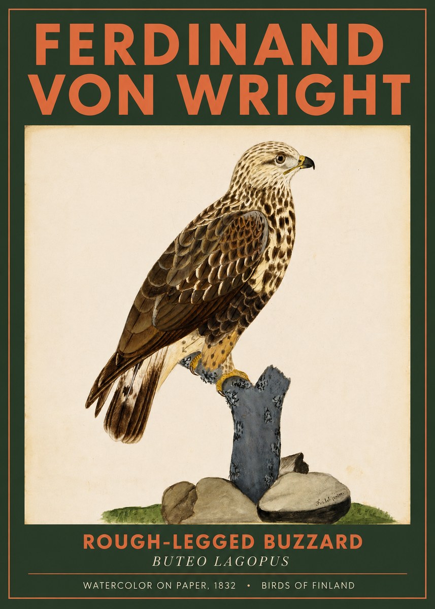 Ferdinand von Wright Rough-legged Buzzard No2 - Plakat