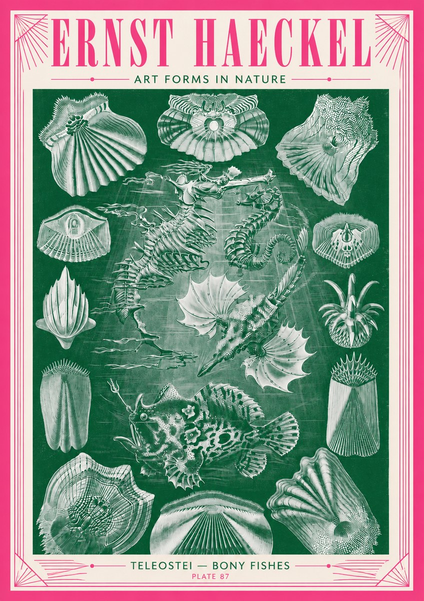 Ernst Haeckel Teleostei - Bony Fishes No3 - Plakat