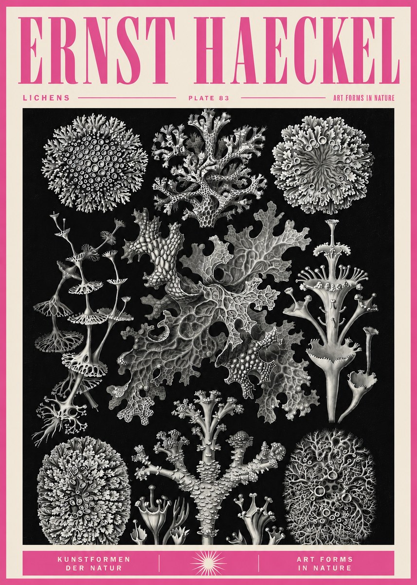 Ernst Haeckel Lichens - Plate 83 No5 - Plakat