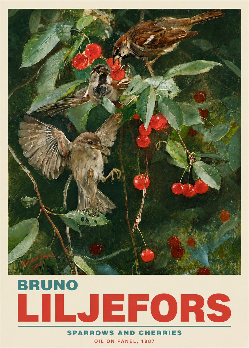 Bruno Liljefors Sparrows and Cherries No5 - Plakat