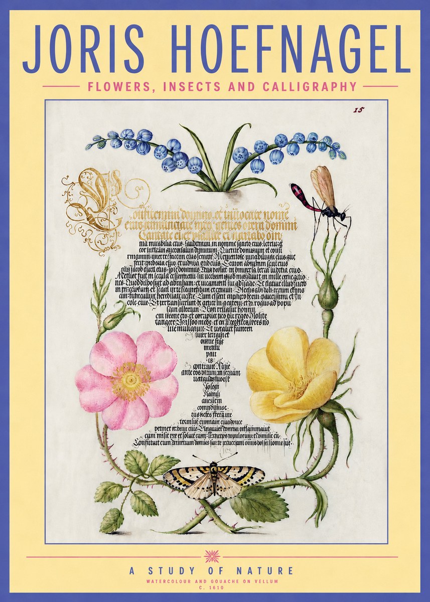 Joris Hoefnagel A Study of Nature I No3 - Plakat