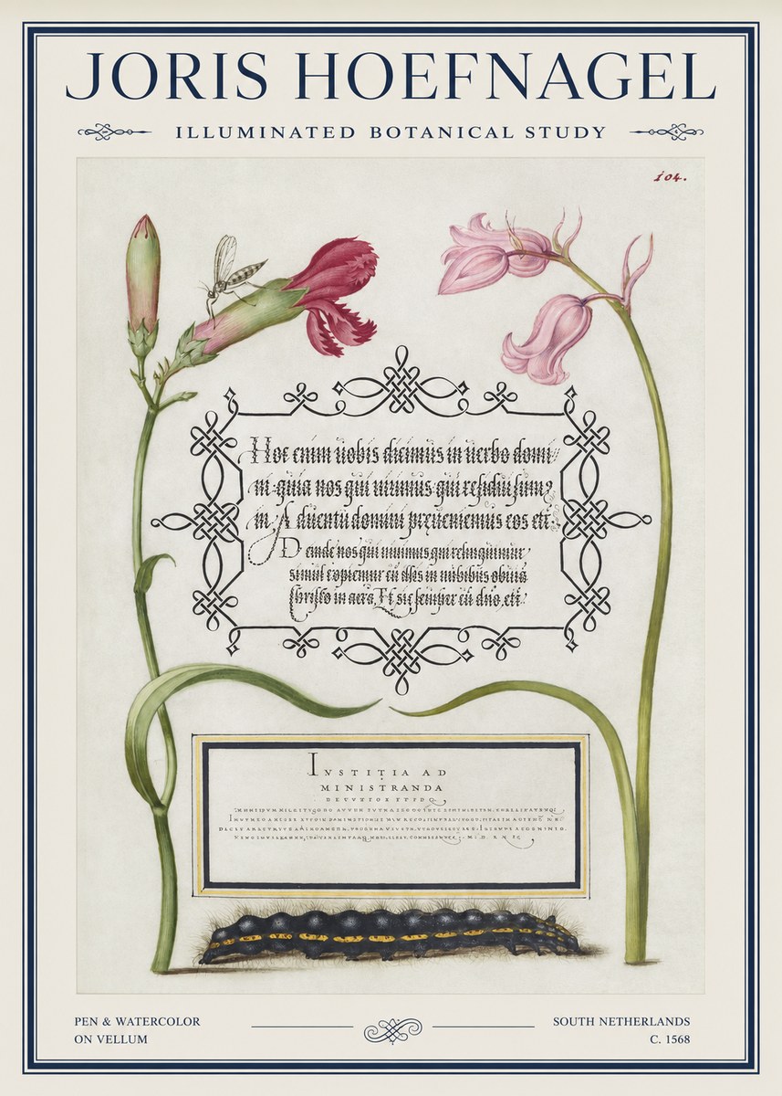 Joris Hoefnagel Floral Study with Insect and Caterpillar No5 - Plakat