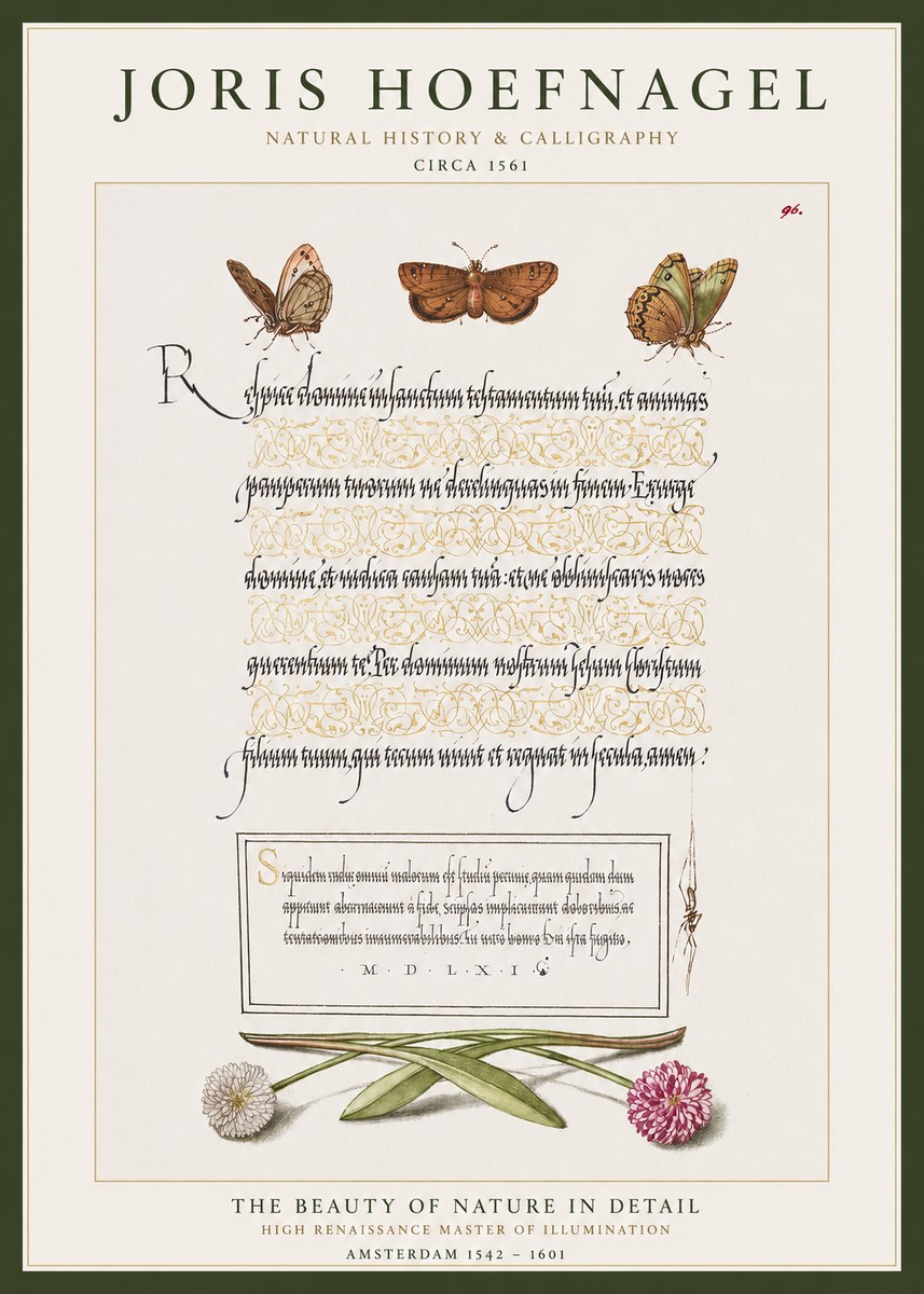 Joris Hoefnagel Butterflies, Flowers and Calligraphy Page No1 - Plakat