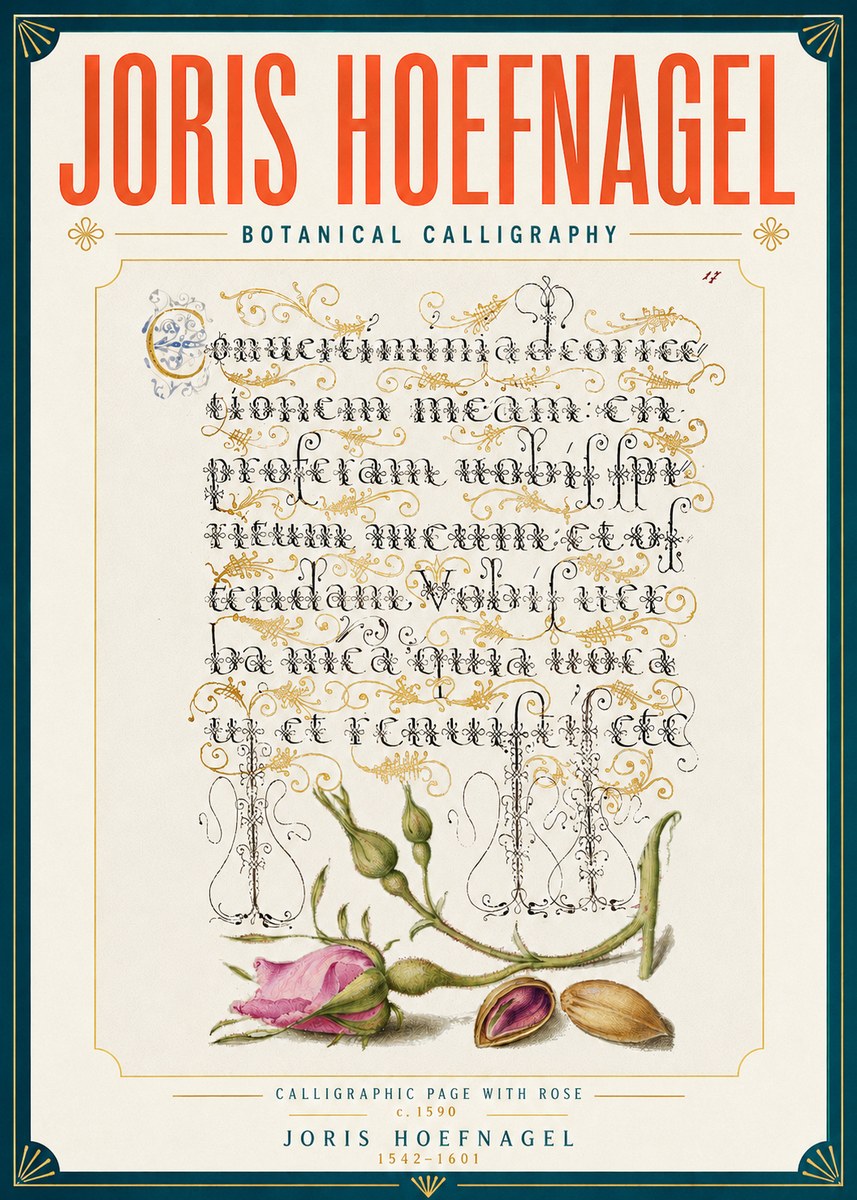 Joris Hoefnagel Calligraphic Page with Rose No6 - Plakat