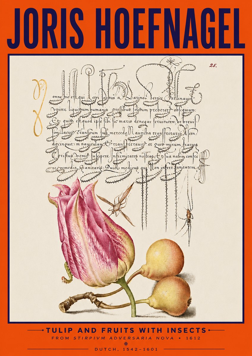 Joris Hoefnagel Tulip and Fruits with Insects No5 - Plakat