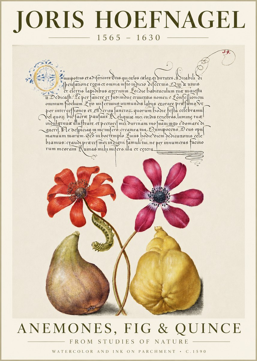 Joris Hoefnagel Flowers and Fruits No6 - Plakat