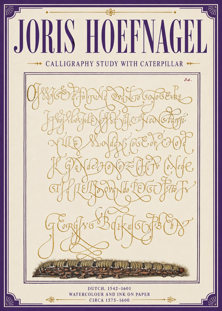 Joris Hoefnagel Calligraphy Study with Caterpillar No6 - Plakat
