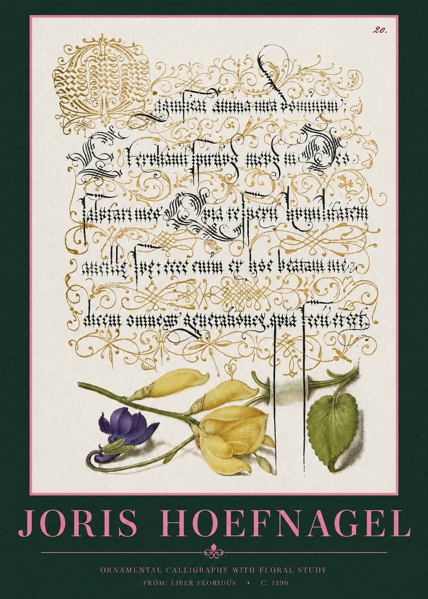 Joris Hoefnagel Ornamental Calligraphy with Floral Study No2 - Plakat