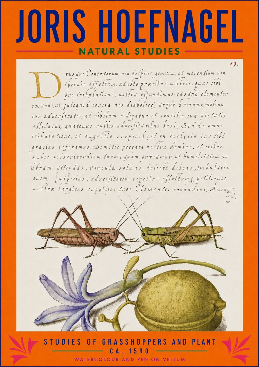 Joris Hoefnagel Studies of Grasshoppers and Plant No3 - Plakat