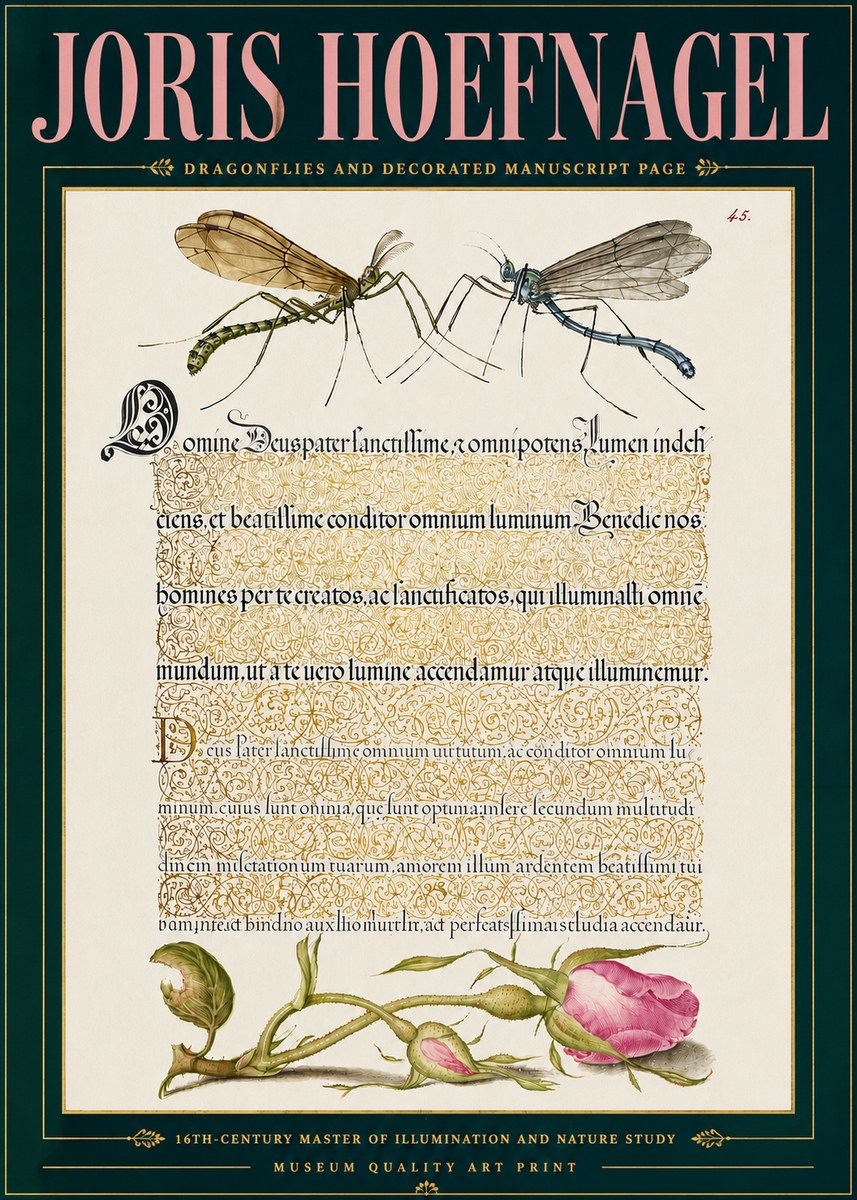 Joris Hoefnagel Dragonflies and Decorated Manuscript Page No5 - Plakat