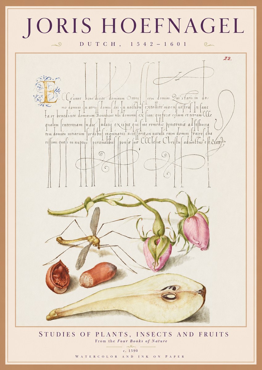 Joris Hoefnagel Studies of Plants, Insects and Fruits No1 - Plakat