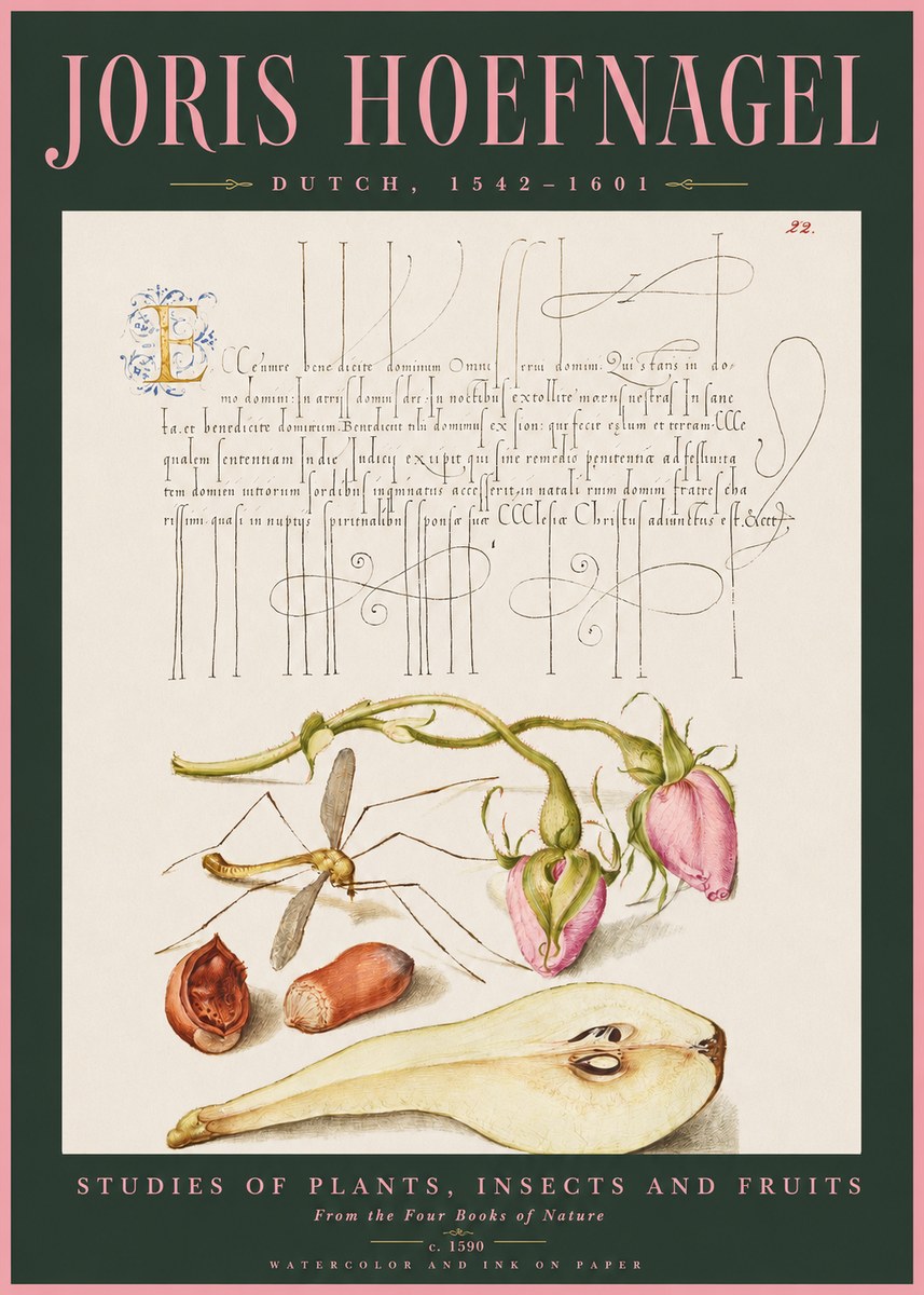 Joris Hoefnagel Studies of Plants, Insects and Fruits No2 - Plakat