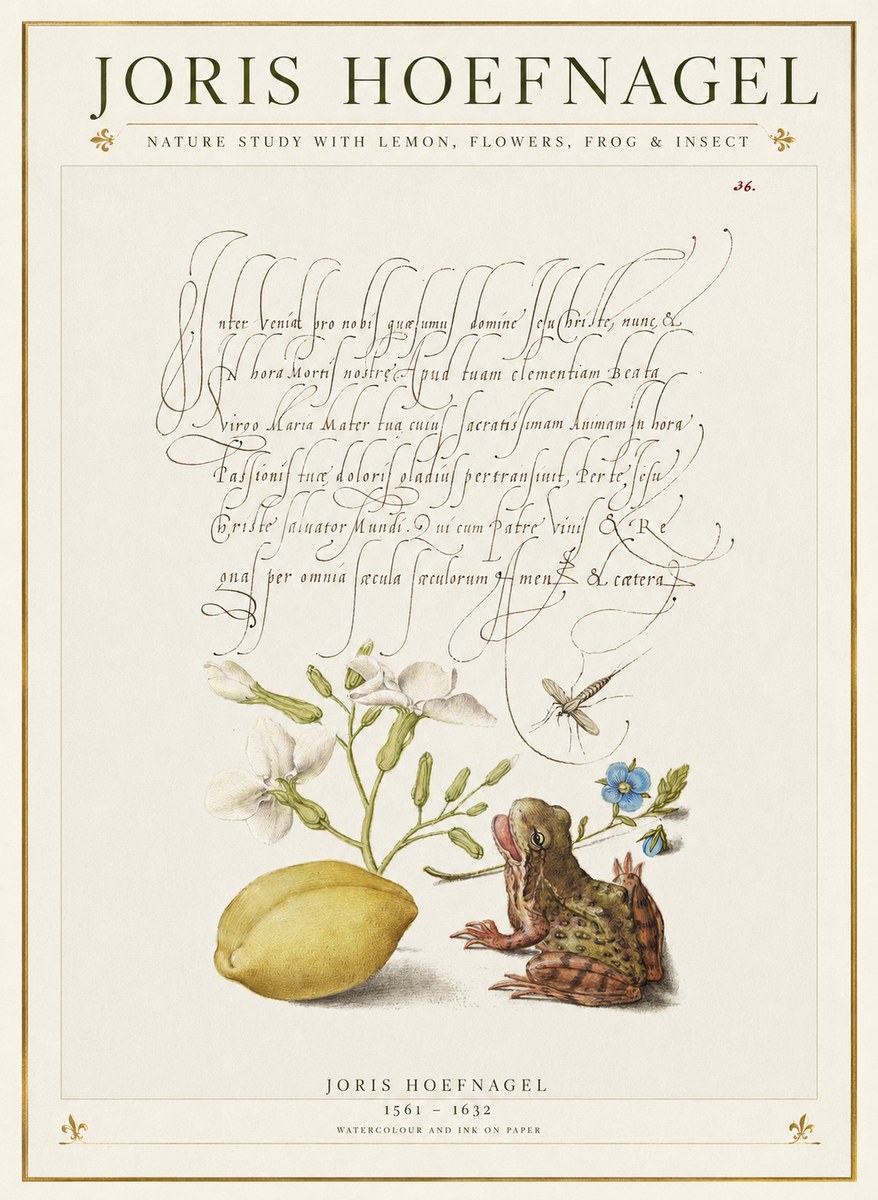 Joris Hoefnagel Nature Study with Lemon, Flowers, Frog & Insect No1 - Plakat