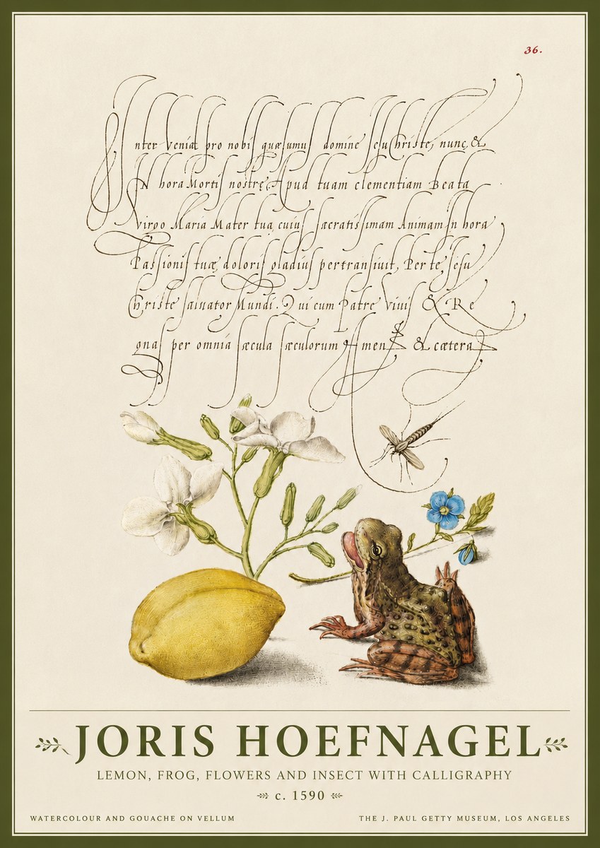 Joris Hoefnagel Nature Study with Lemon, Flowers, Frog & Insect No4 - Plakat