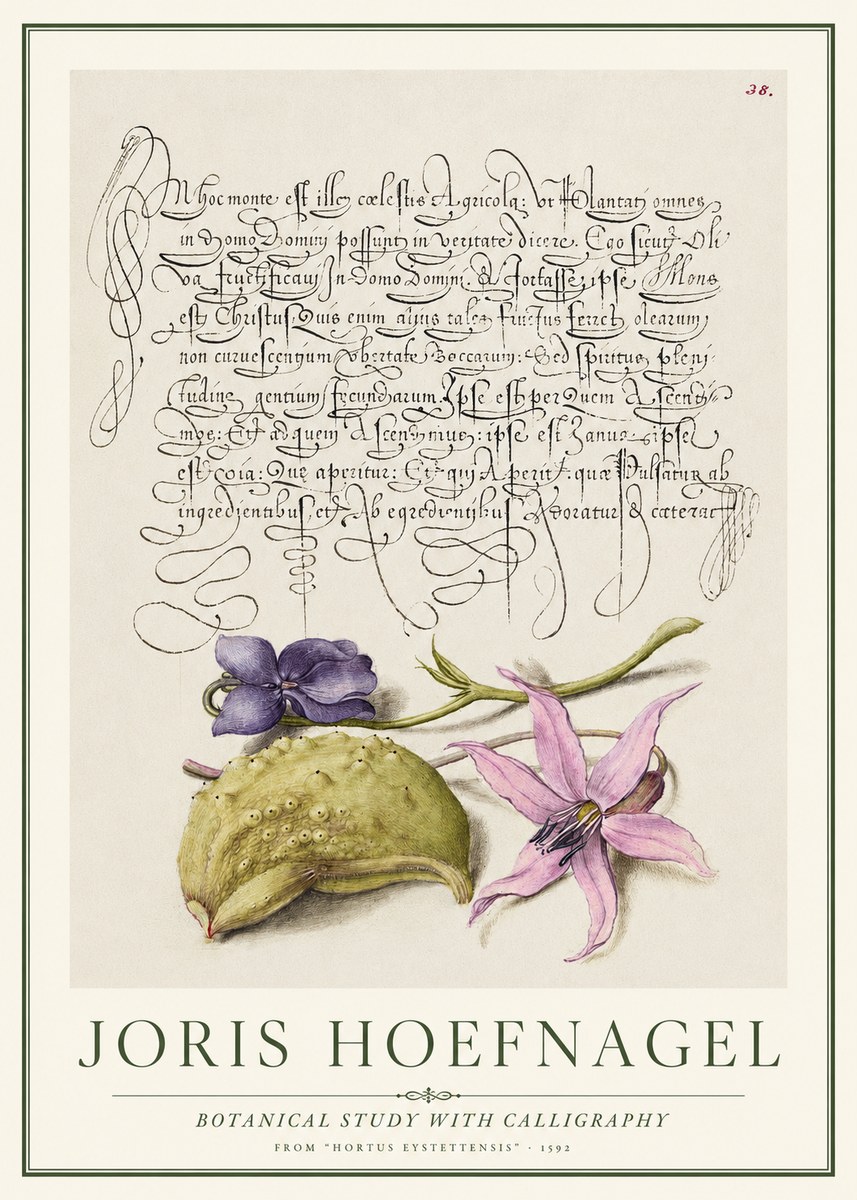Joris Hoefnagel Botanical Study with Calligraphy I No1 - Plakat