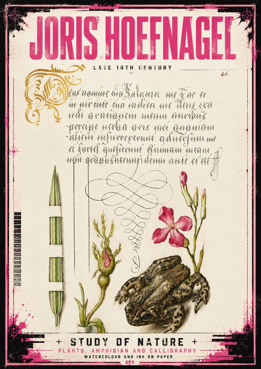 Joris Hoefnagel Study of Nature I No4 - Plakat