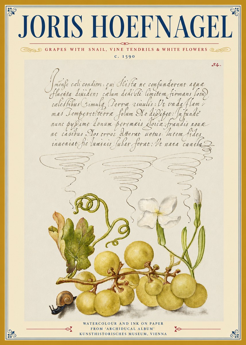 Joris Hoefnagel Grapes with Snail, Vine Tendrils & White Flowers No3 - Plakat