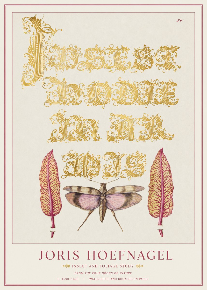 Joris Hoefnagel Insect and Foliage Study No1 - Plakat
